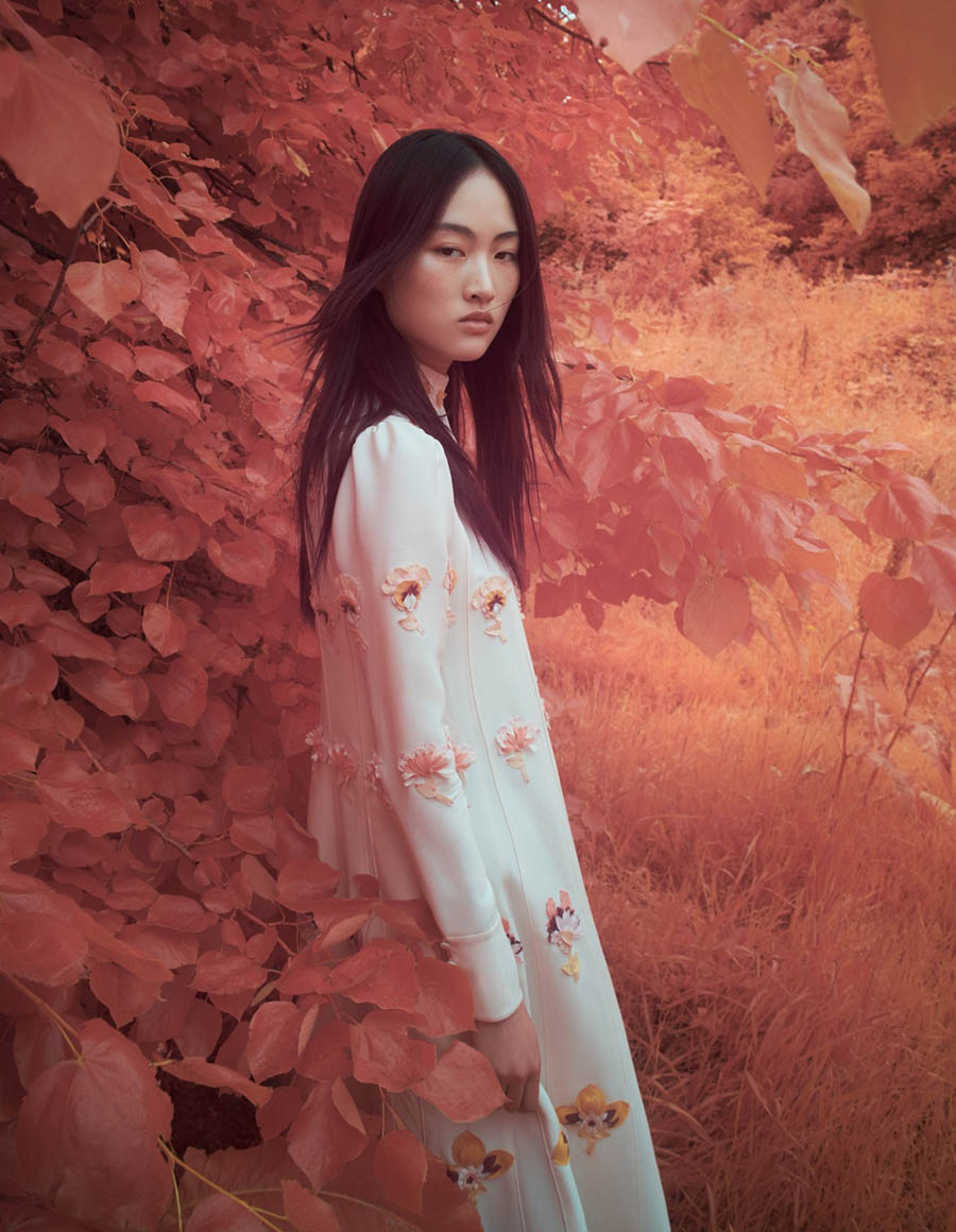 Jing Wen by Sølve Sundsbø for Vogue China October 2017