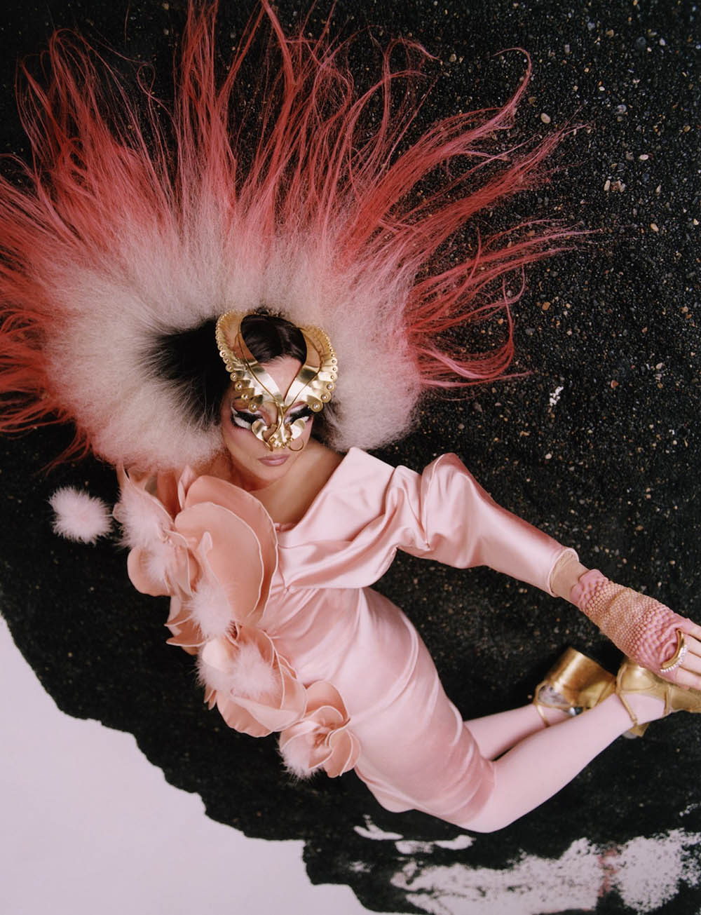 Björk covers Dazed Magazine Winter 2019 by Harley Weir