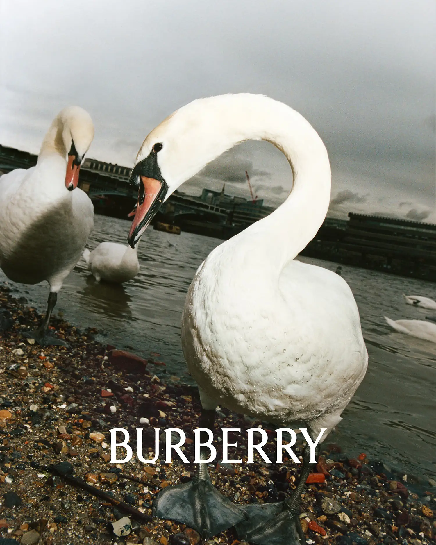 Burberry unveils new identity & new campaign under Daniel Lee