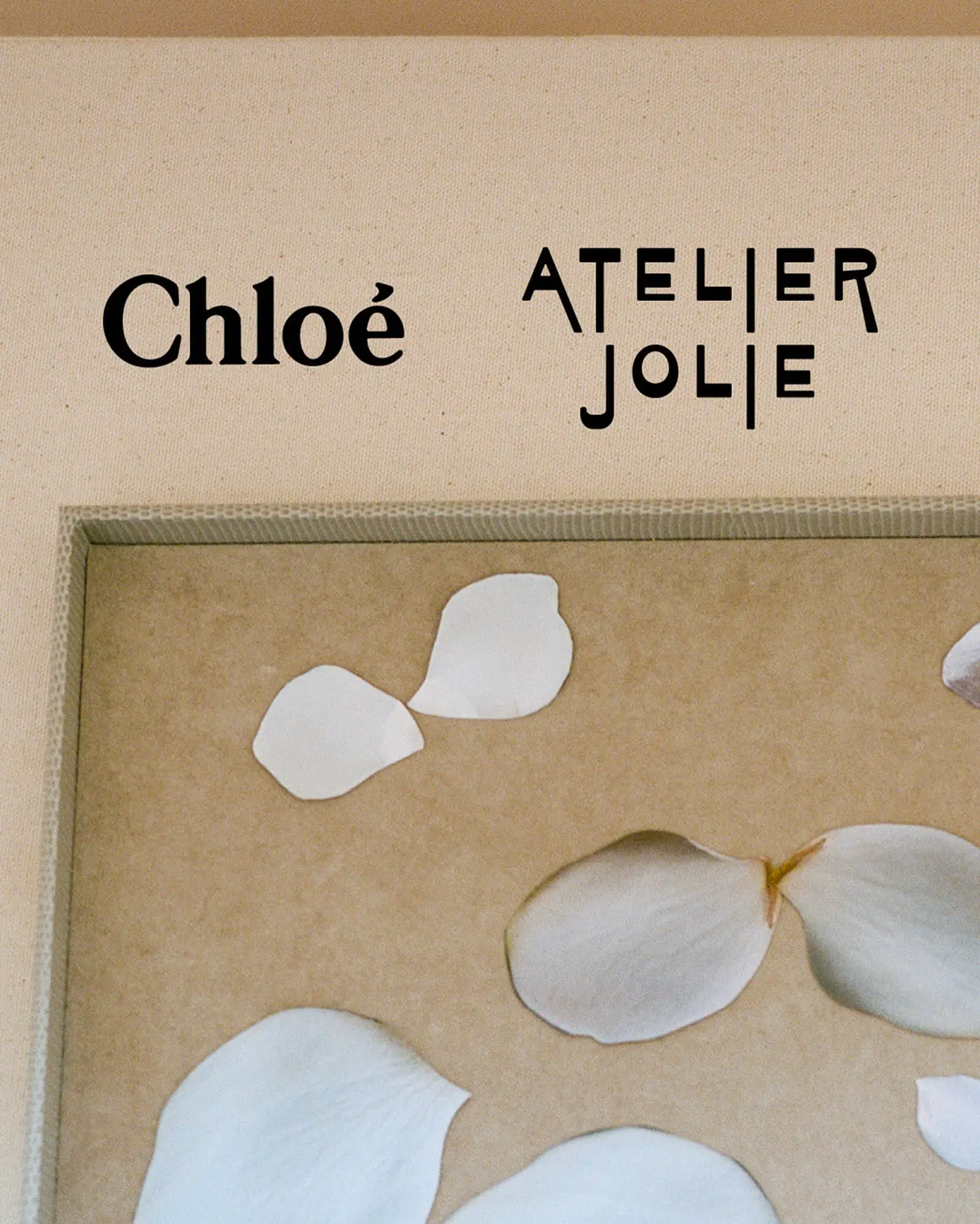 Discover the fashion elegance of the Chloé x Atelier Jolie collaboration