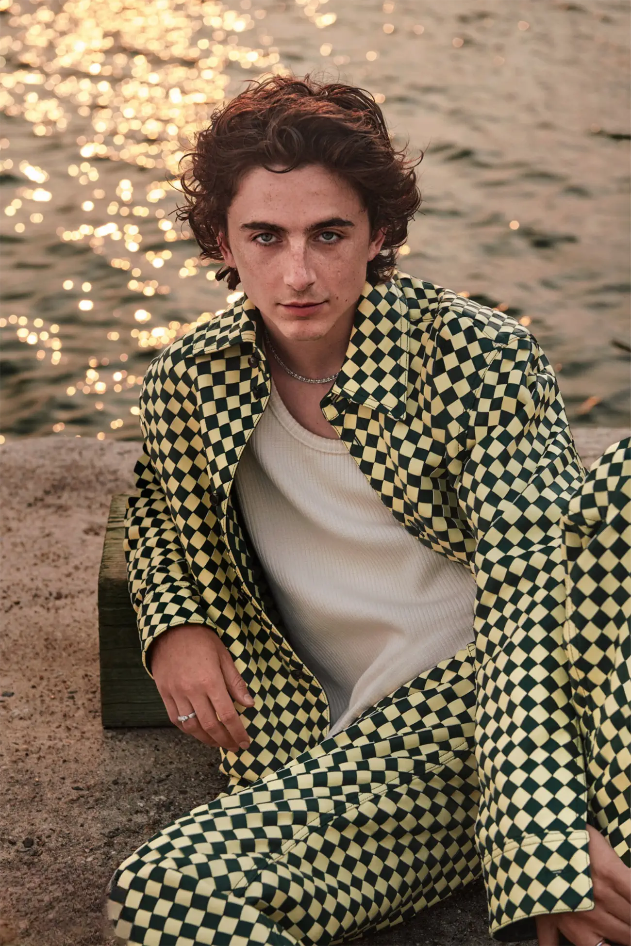 Timothée Chalamet covers GQ USA November 2023 by Cass Bird